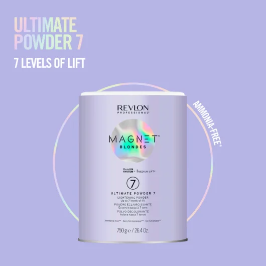Magnet