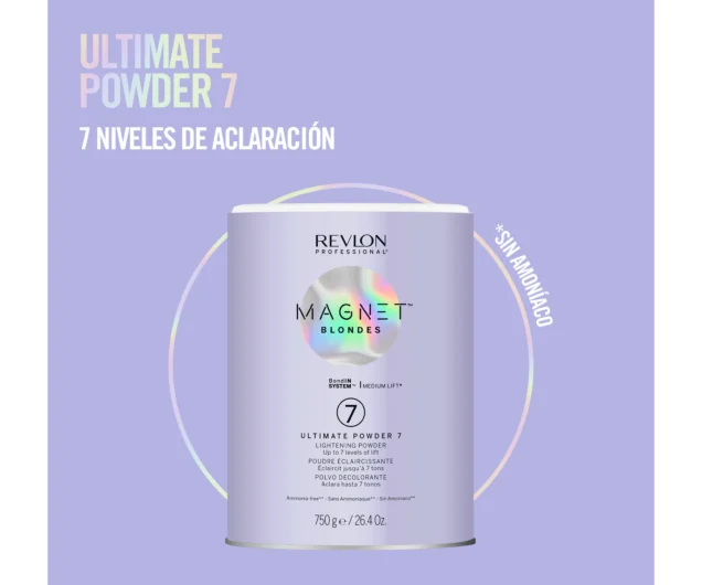 Magnet