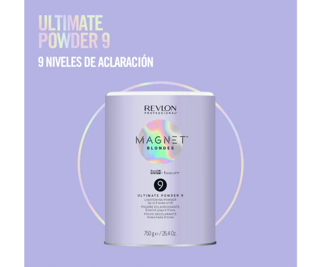 Magnet