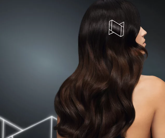 Revlonissimo Colorsmetique Model Brunette