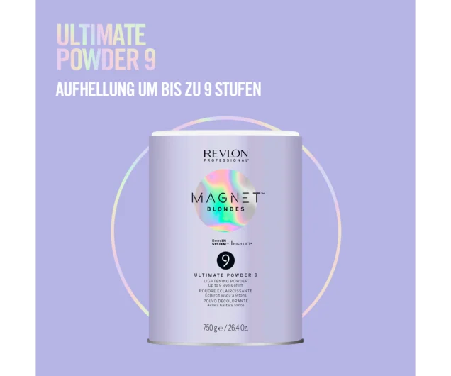 Magnet