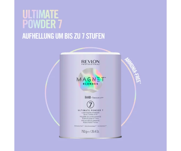 Magnet