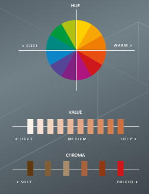 Determining skin tones 