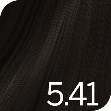 Light Chestnut Ash Brown